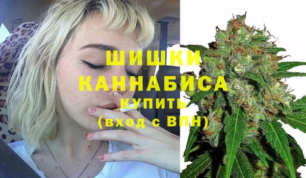 дмт Богородицк