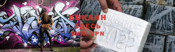 дмт Богородицк